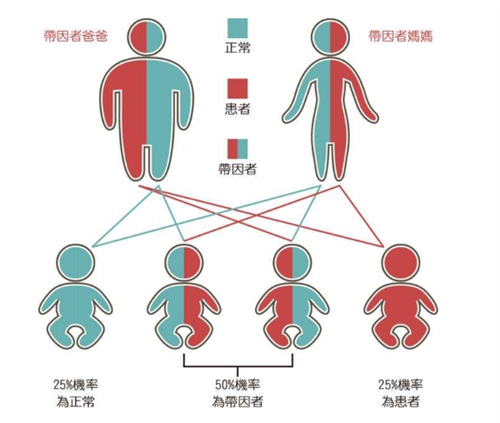 国内做试管婴儿哪家医院成功率高？附国内试管婴儿医院成功率排行榜