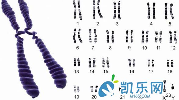 强直性脊柱炎可以做第三代试管避免遗传吗(图2)