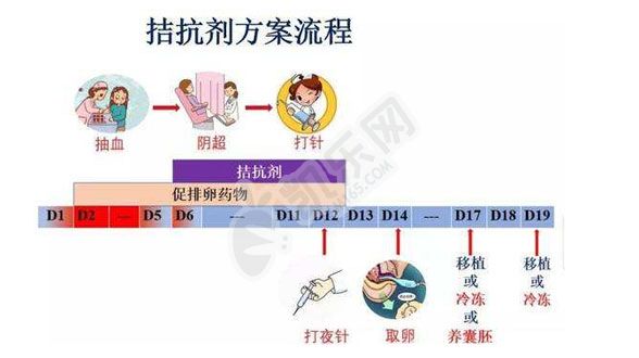 拮抗剂方案优缺点是什么？(图1)