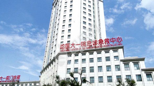 哈尔滨医科大学附属第一医院做试管婴儿的费用与成功率(图1)