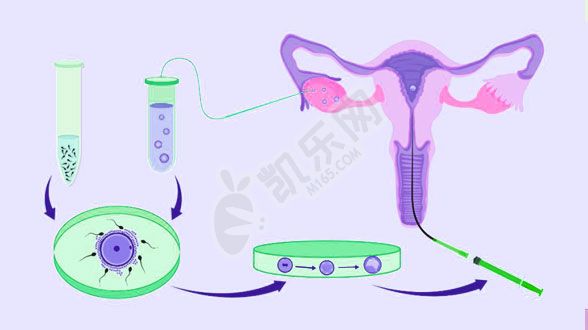 高龄试管一定要做三代吗？高龄做三代试管的成功率(图2)
