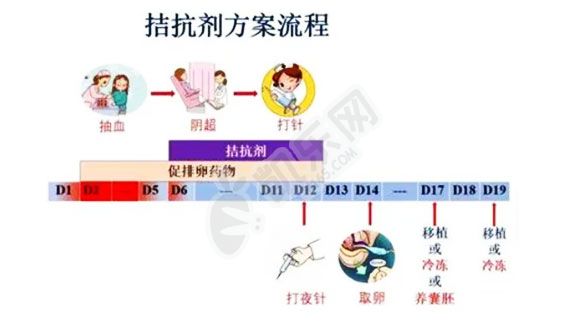 三代试管促排一般用什么方案 有什么注意事项(图2)