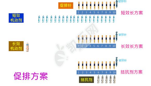 三代试管促排一般用什么方案 有什么注意事项(图3)