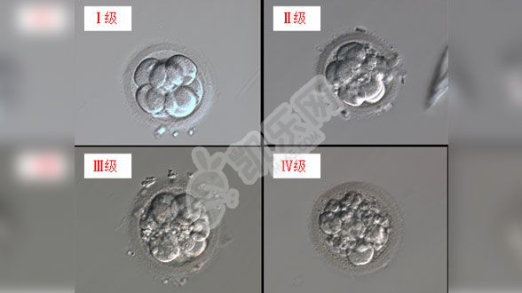 试管婴儿2022年的成功率是多少（附不同年龄的试管成功率）(图5)