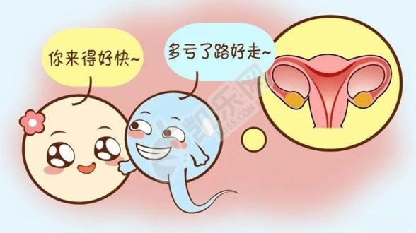 输卵管堵塞是复通还是试管婴儿好？(图1)