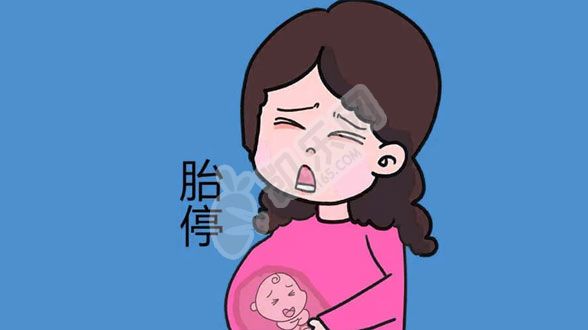 试管为什么胎停率那么高？是真的吗？(图1)