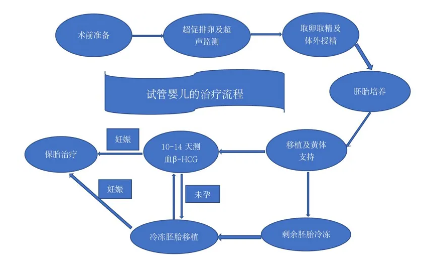 一文看懂试管治疗流程，记住四个阶段，做三代其实没这么复杂!