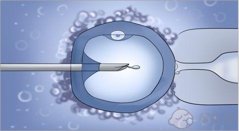 中山三院做试管婴儿怎么样？试管成功率是多少？