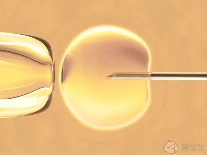 二胎试管囊胚移植流程，从检查到移植三步缺一不可