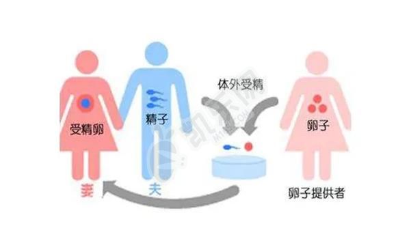 绝经女性还能做试管婴儿吗 解决办法看这里(图2)