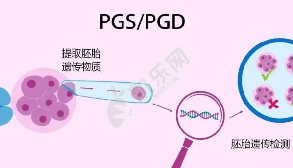 试管婴儿指定男孩要多少钱 最新流程介绍(图3)