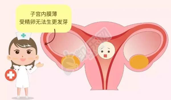 子宫内膜厚度不达标有哪些原因 不孕女性一定要了解(图1)