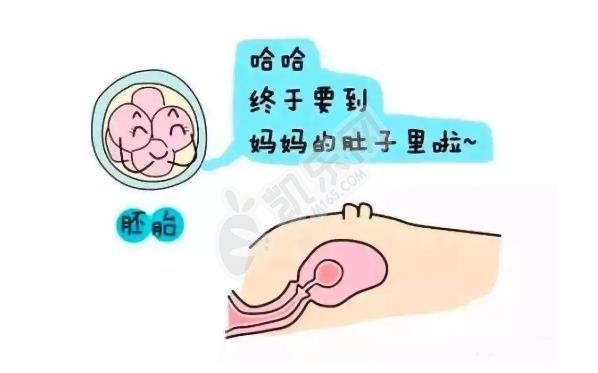 做试管婴儿流程是怎样的 最新详细版本(图2)