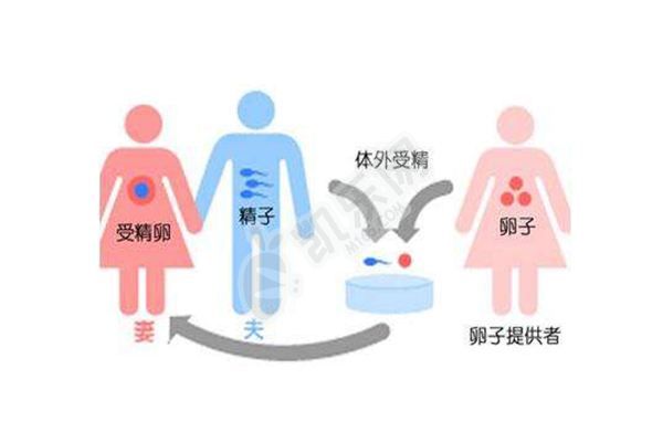 50岁高龄女性绝经两年后还能申请做供卵试管婴儿吗？(图1)