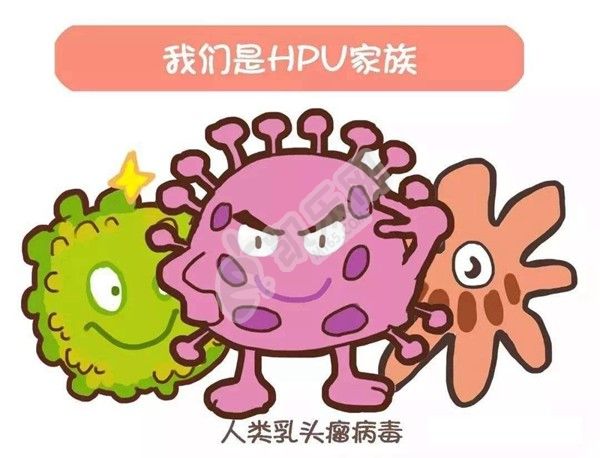 hpv53是高危还是低危，hpv高危转阴可以做试管了吗？(图1)