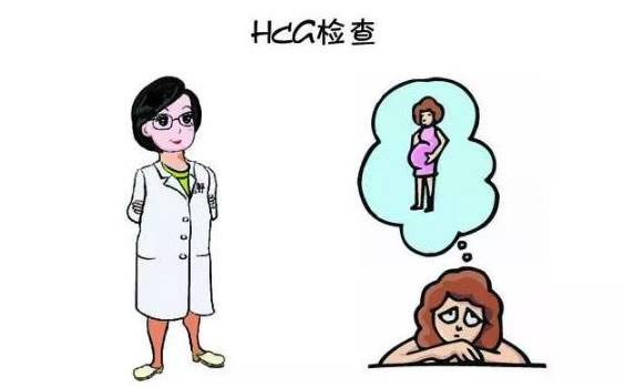 六周hcg能判断孩子性别，学会这种方法准确率能达到95%