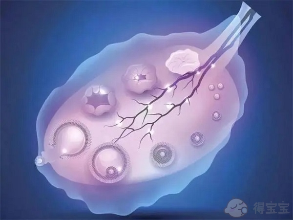 西安交大二附院试管婴儿费用多少？（内附具体花费明细分享）