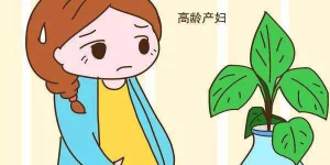 2022保定妇幼试管成功率高吗？高龄做试管的成功率有多高？