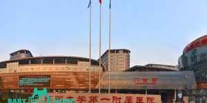 2022郑州大学第一附属医院试管婴儿成功率一览，附2022助孕成功率预估表