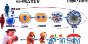 2022年上海三代试管婴儿流程步骤