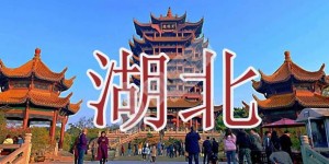 2022年湖北试管婴儿医院大全