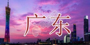 2022年广东试管婴儿医院大全