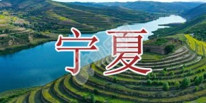 2022年宁夏试管婴儿医院大全