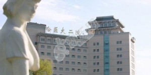 哈尔滨医科大学附属第二医院做试管婴儿的费用与成功率