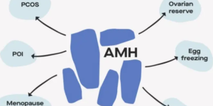 AMH值0.05自然怀孕几率小，通过试管好孕几率更高