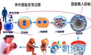 2022年上海三代试管婴儿流程步骤