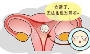 子宫内膜过薄试管成功案例 如何增厚子宫内膜？