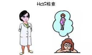 六周hcg能判断孩子性别，学会这种方法准确率能达到95%