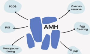 AMH值0.05自然怀孕几率小，通过试管好孕几率更高